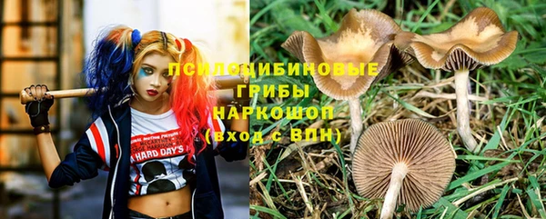 круглые Вяземский