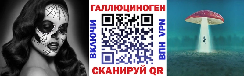Псилоцибиновые грибы Cubensis  Гусиноозёрск 